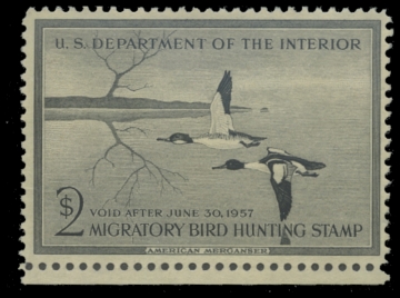 Picture of RW23 1956 Duck Stamp, Unsigned 