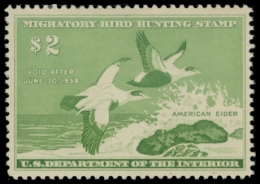 Picture of RW24 1957 Duck Stamp 