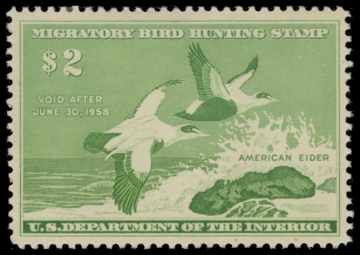Picture of RW24 1957 Duck Stamp 