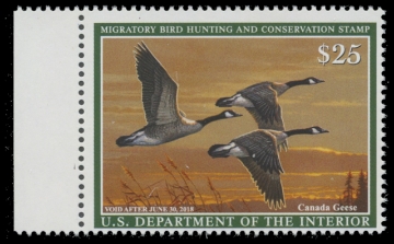 Picture of RW84 2017 Duck Stamp 