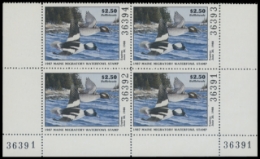 Picture of 1987 Maine Duck Stamps. Plate Block of 4