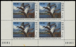 Picture of 1984 Maine Duck Stamp - First of State. Plate Block of 4