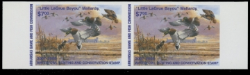Picture of 2007 Arkansas Duck Stamp
