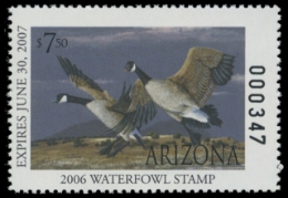 Picture of 2006 Arizona Duck Stamp