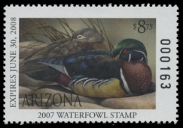 Picture of 2007 Arizona Duck Stamp