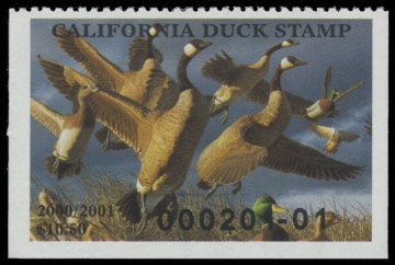 Picture of 2000 California Duck Stamp