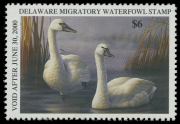 Picture of 1999 Delaware Duck Stamp