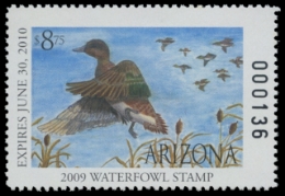 Picture of 2009 Arizona Junior Duck Stamp