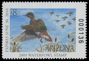 Picture of 2009 Arizona Junior Duck Stamp