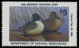 Picture of 1988 Iowa Duck Stamp