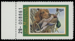 Picture of 1997 Montana Duck Stamp