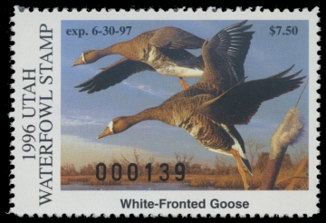 Picture of 1996 Utah Duck Stamp