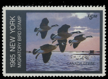 Picture of 1985 New York Duck Stamp - First of State