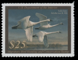 Picture of RW90 2023 Duck Stamp 