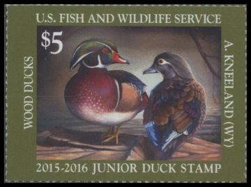 Picture of JDS23 2015 Duck Stamp 