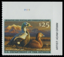 Picture of RW92 2025 Duck Stamp