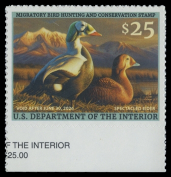Picture of RW92 2025 Duck Stamp