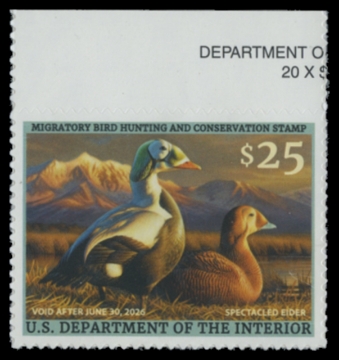Picture of RW92 2025 Duck Stamp