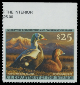 Picture of RW92 2025 Duck Stamp