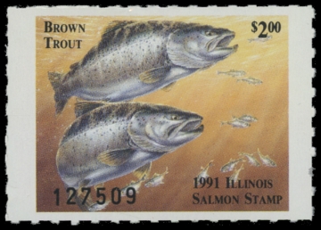 Picture of 1991 Illinois Salmon Fishing