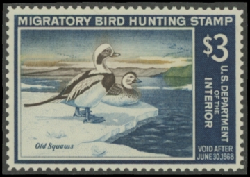 Picture of RW34 1967 Duck Stamp  MNH VF