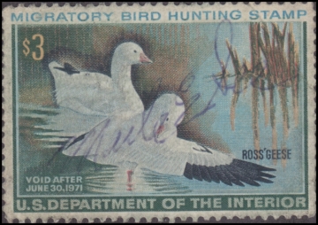 Picture of RW37 1970 Duck Stamp  Used Fine