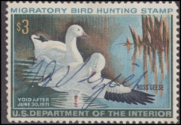 Picture of RW37 1970 Duck Stamp  Used F-VF