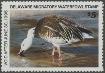 Picture of 1994 Delaware Duck Stamp MNH VF