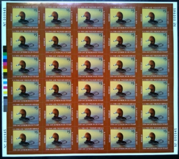 Picture of JDS14 2006 Junior Duck Stamp Full Sheet MNH VF