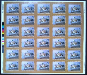 Picture of JDS15 2007 Junior Duck Stamp Full Sheet MNH VF