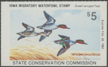 Picture of 1981 Iowa Duck Stamp MNH VF