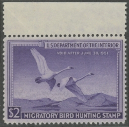 Picture of RW17 1950 Duck Stamp  MNH VF