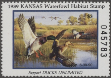 Picture of 1989 Kansas Duck Stamp MNH VF