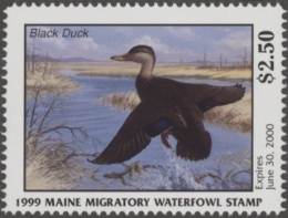 Picture of 1999 Maine Duck Stamp MNH VF