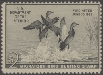 Picture of RW18 1951 Duck Stamp  MNH Fine