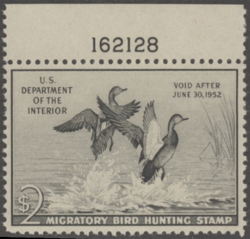 Picture of RW18 1951 Duck Stamp  MNH VF
