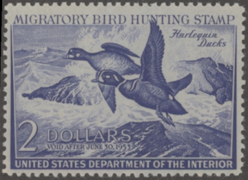 Picture of RW19 1952 Duck Stamp  MNH F-VF