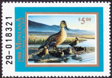 Picture of 1988 Montana Duck Stamp MNH VF