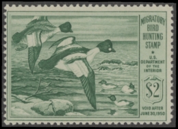 Picture of RW16 1949 Duck Stamp  MNH Fine