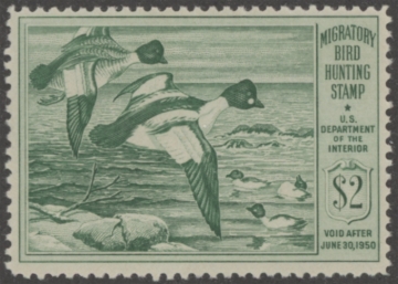 Picture of RW16 1949 Duck Stamp  MNH F-VF