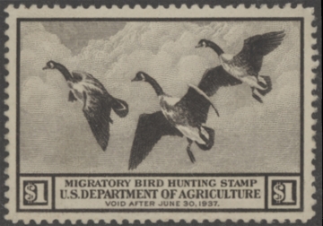 Picture of RW3 1936 Duck Stamp  Unsigned F-VF