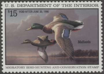 Picture of RW62 1995 Duck Stamp  MNH VF