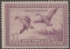 Picture of RW5 1938 Duck Stamp  Unsigned, Faults Fine