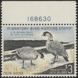 Picture of RW31 1964 Duck Stamp  MNH VF