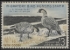 Picture of RW31 1964 Duck Stamp  Used F-VF