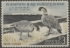 Picture of RW31 1964 Duck Stamp  MNH, Faults XF