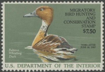 Picture of RW53 1986 Duck Stamp  MNH VF
