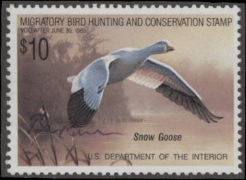Picture of RW55 1988 Duck Stamp  Used F-VF