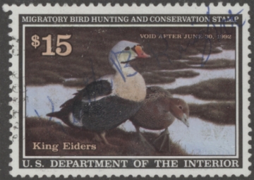 Picture of RW58 1991 Duck Stamp  Used VF
