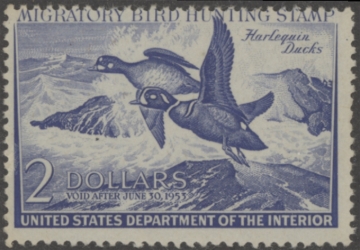 Picture of RW19 1952 Duck Stamp  MNH F-VF